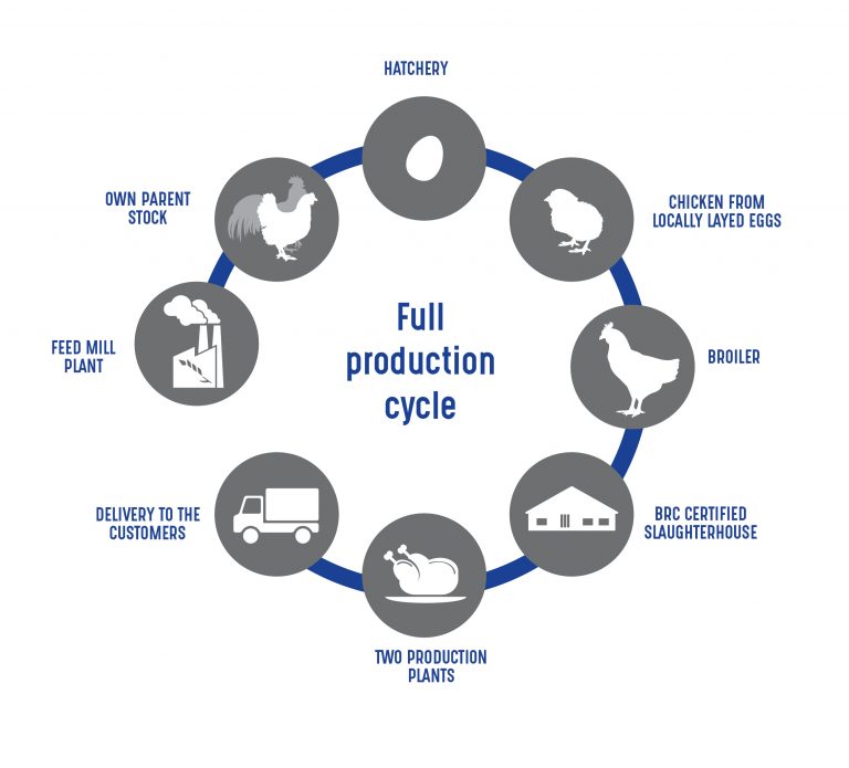 Production cycle